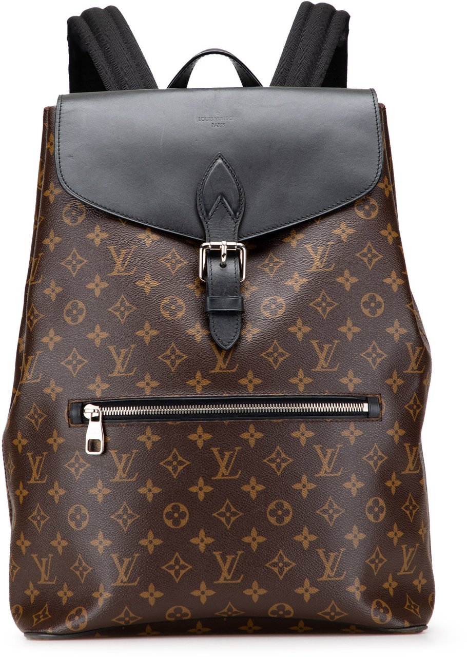 Louis Vuitton Monogram Macassar Palk Backpack Bruin