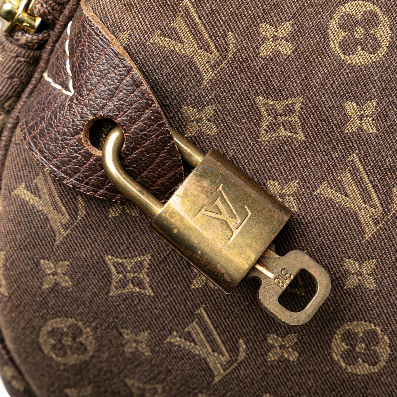 Louis Vuitton Monogram Mini Lin Speedy 30 Bruin