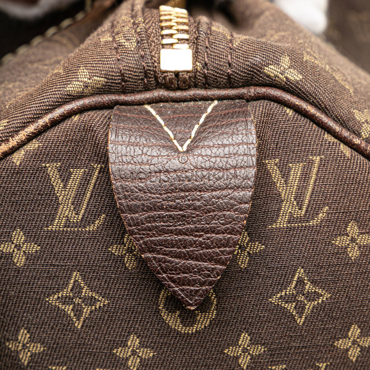 Louis Vuitton Monogram Mini Lin Speedy 30 Bruin