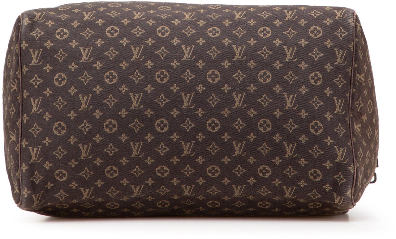 Louis Vuitton Monogram Mini Lin Speedy 30 Bruin