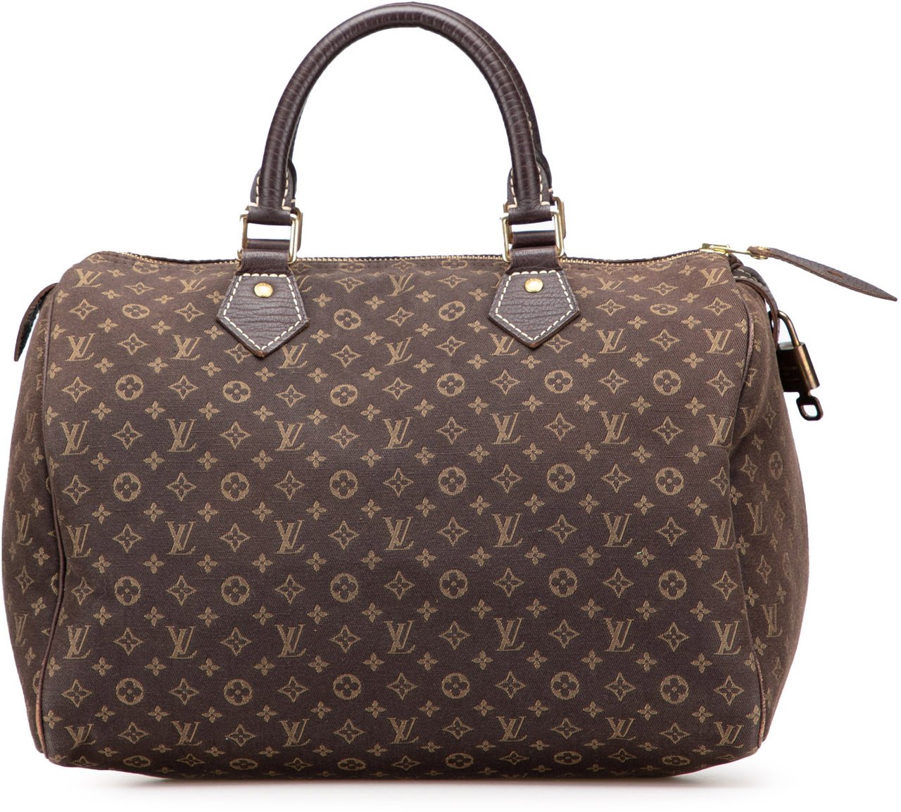 Louis Vuitton Monogram Mini Lin Speedy 30 Bruin