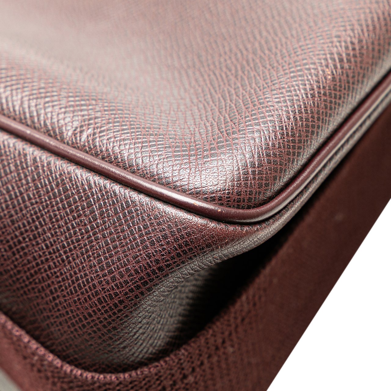 Louis Vuitton Taiga Reporter PM Bruin