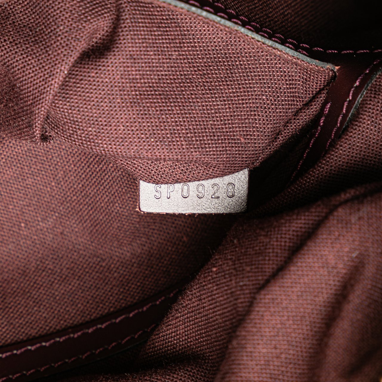 Louis Vuitton Taiga Reporter PM Bruin