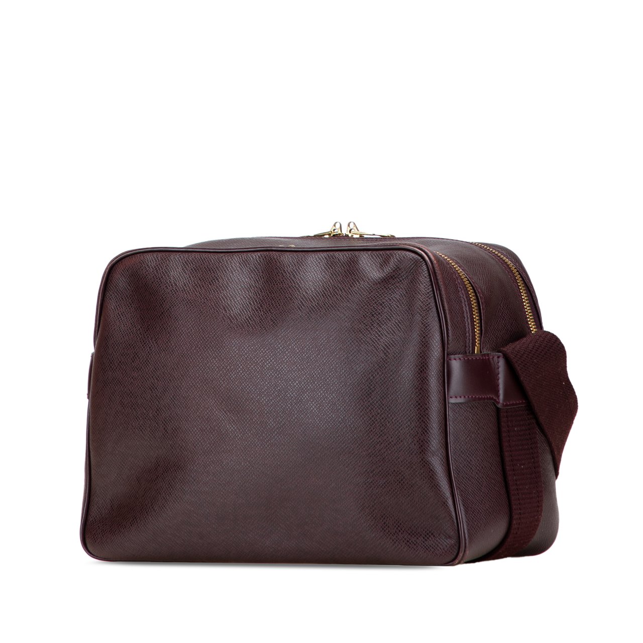 Louis Vuitton Taiga Reporter PM Bruin