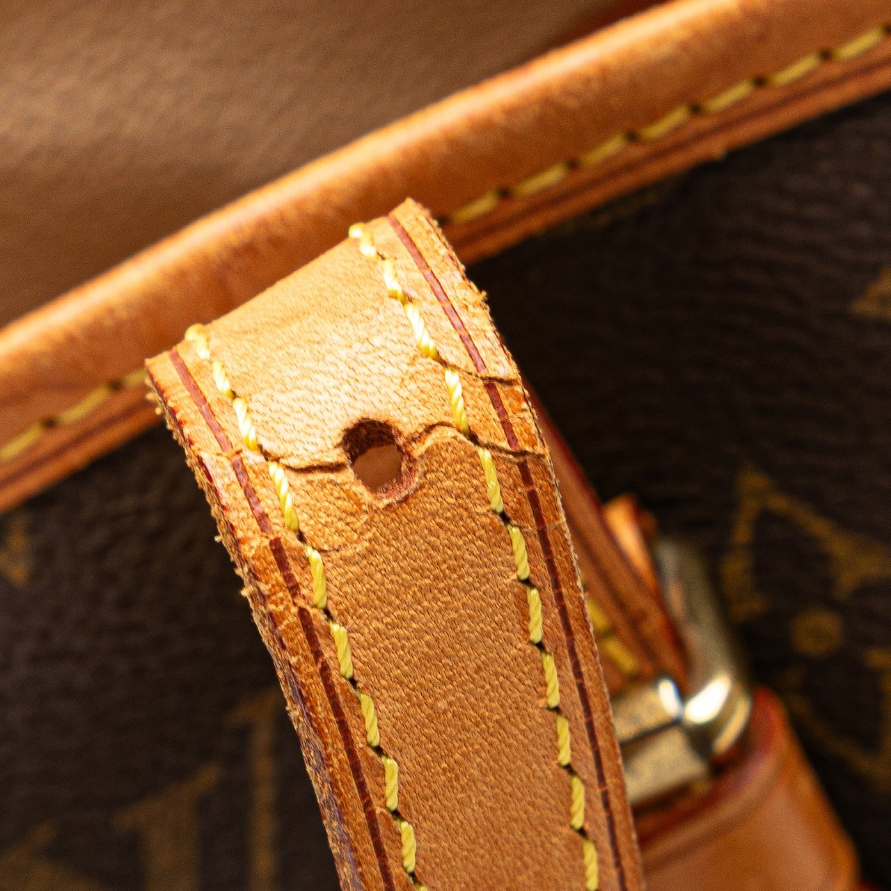 Louis Vuitton Monogram Petit Bucket Bruin