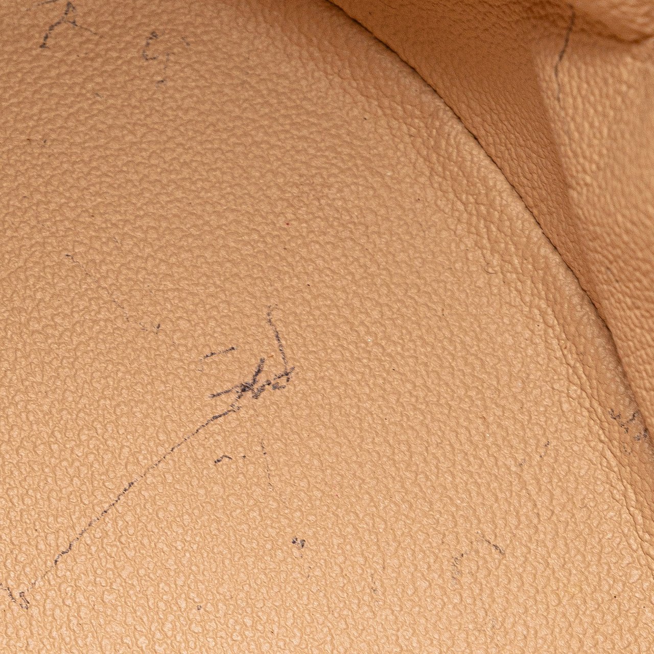 Louis Vuitton Monogram Petit Bucket Bruin
