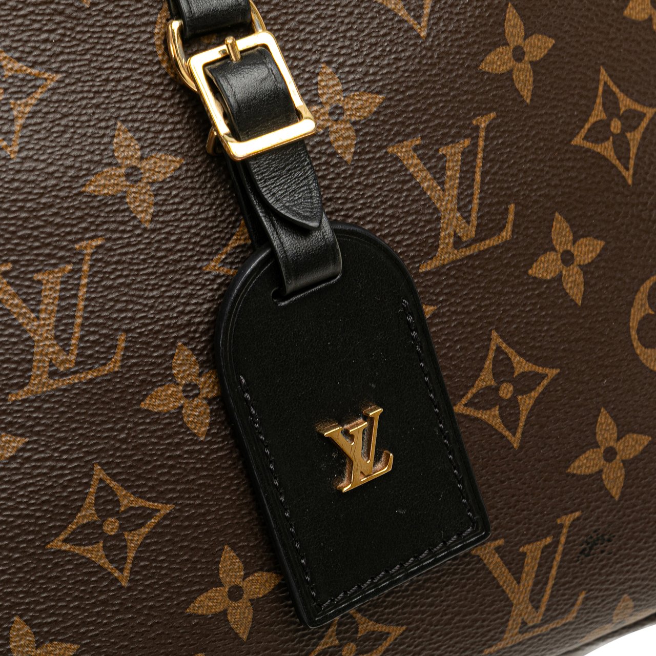 Louis Vuitton Monogram Odeon PM Bruin