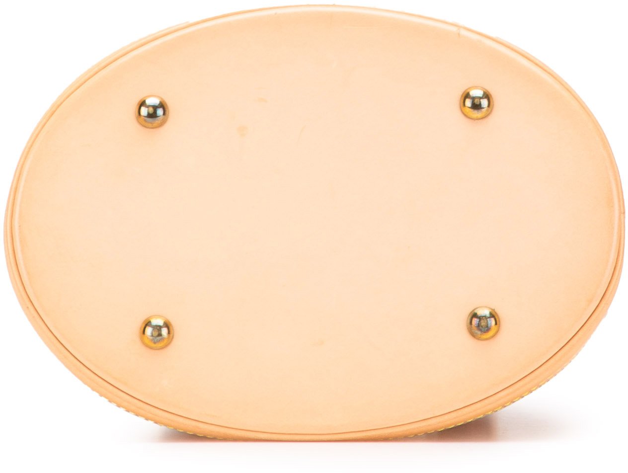 Louis Vuitton Nomade Petit Bucket Bruin