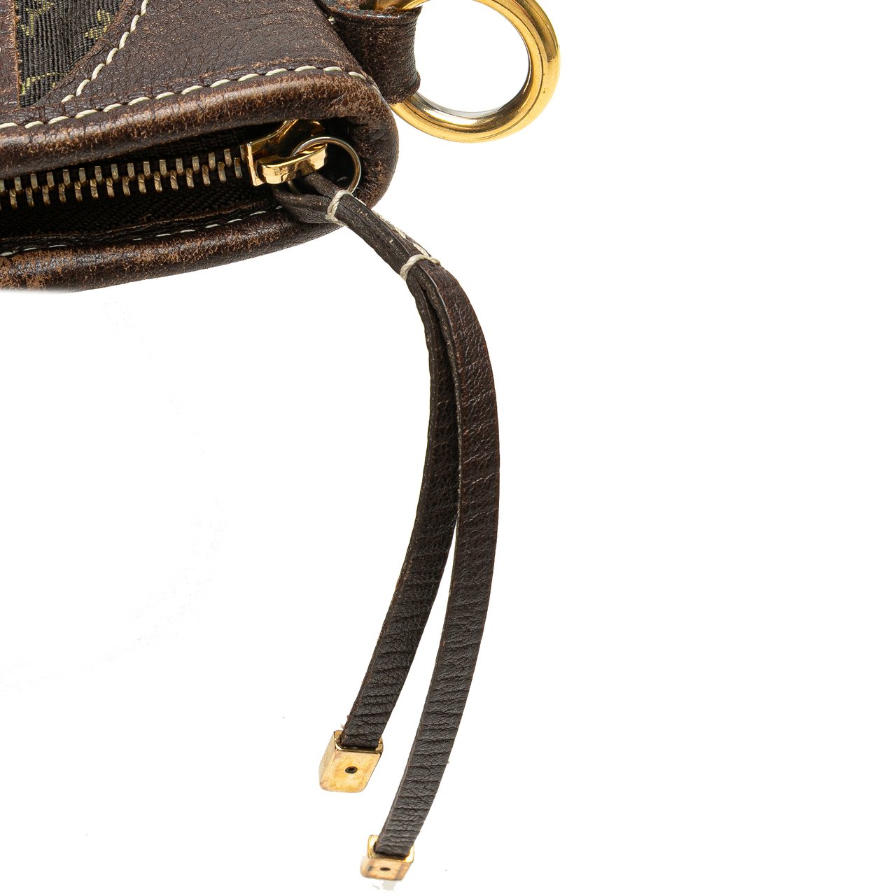Louis Vuitton Monogram Mini Lin Besace Angele Bruin