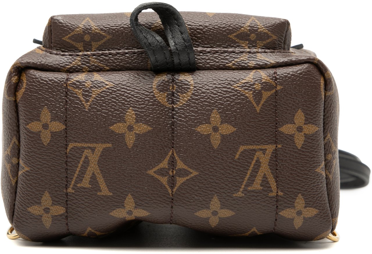 Louis Vuitton Monogram Mini Palm Springs Bruin