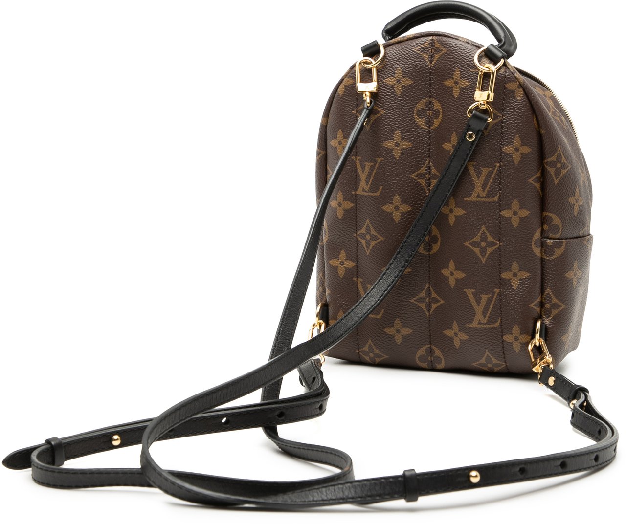 Louis Vuitton Monogram Mini Palm Springs Bruin