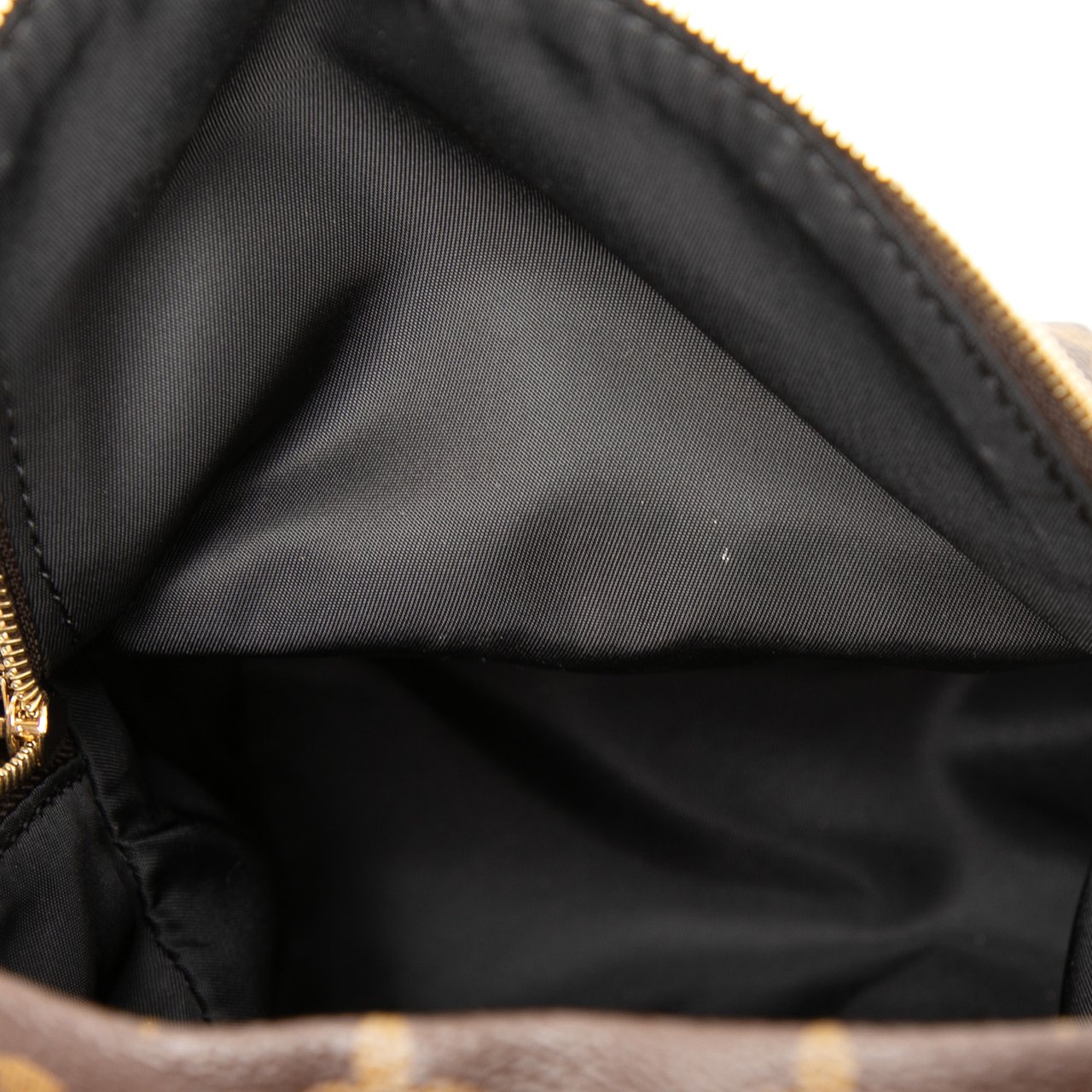 Louis Vuitton Monogram Mini Palm Springs Bruin