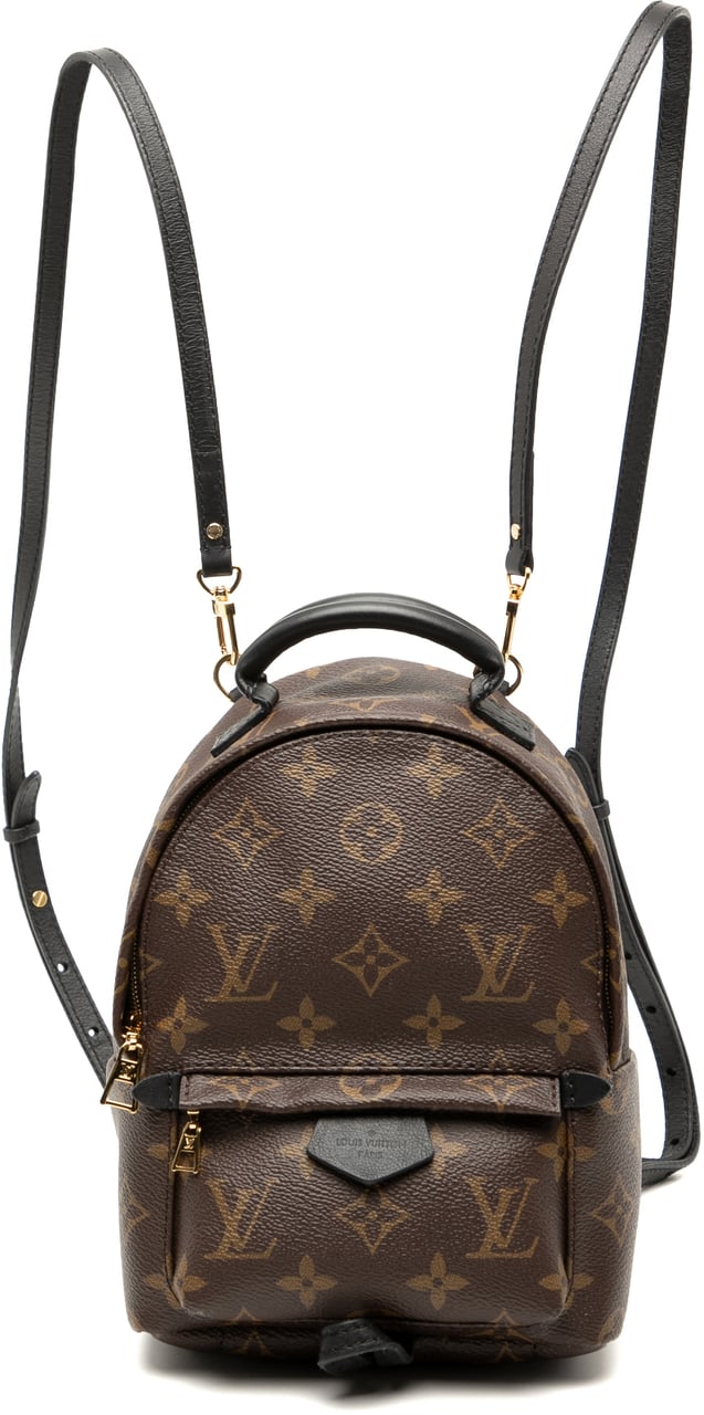 Louis Vuitton Monogram Mini Palm Springs Bruin