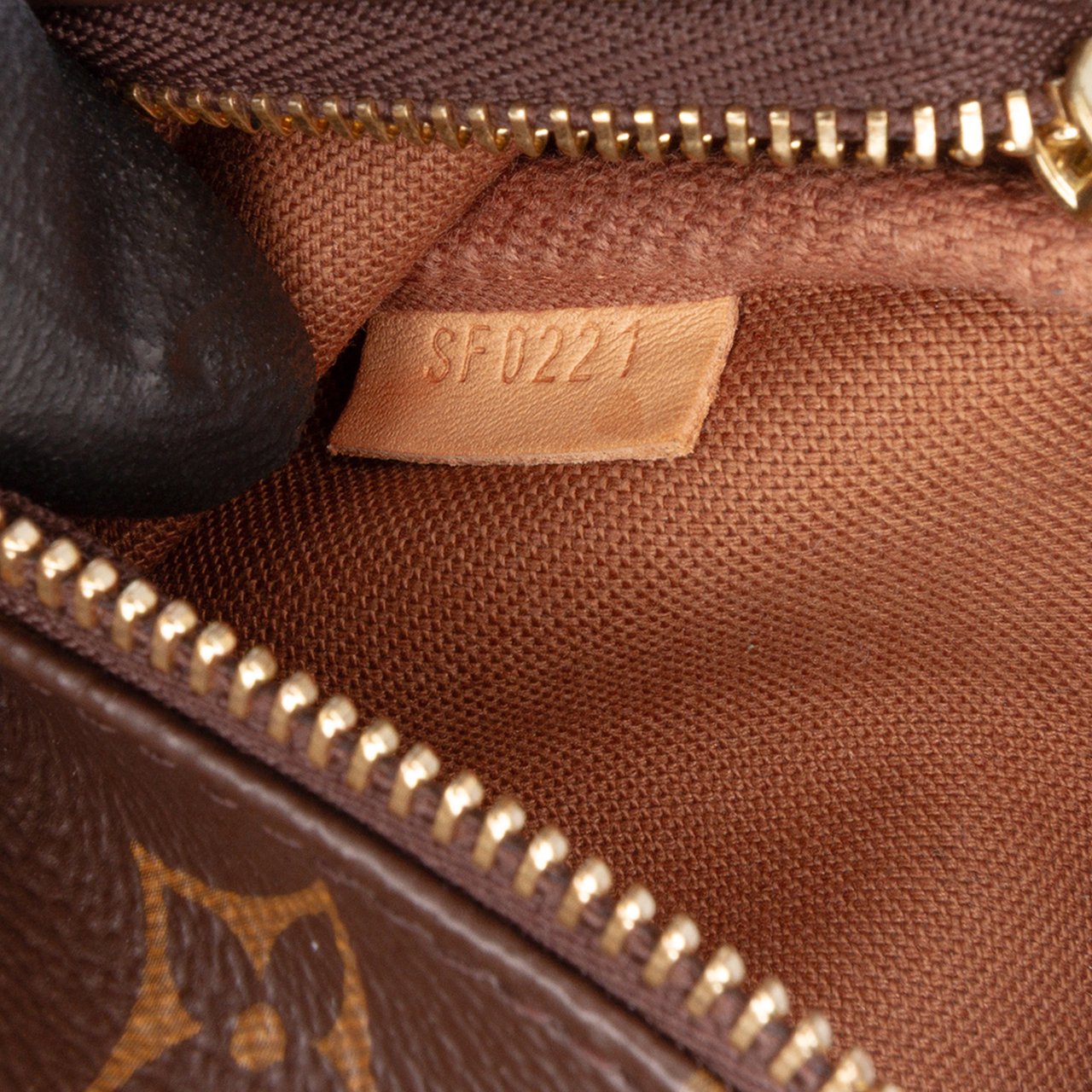 Louis Vuitton Monogram Mini Pochette Accessoires Bruin
