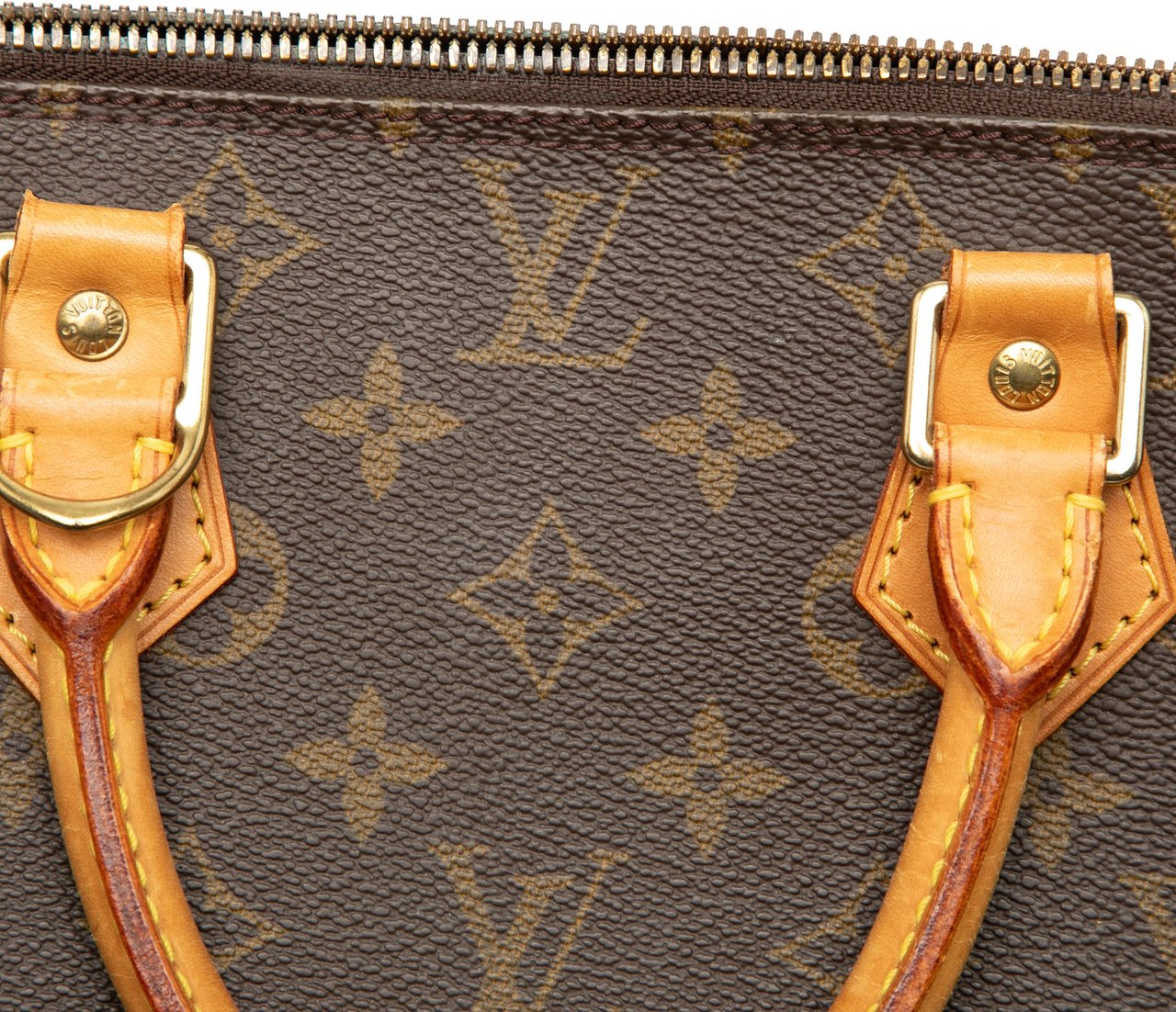 Louis Vuitton Monogram Alma PM Bruin