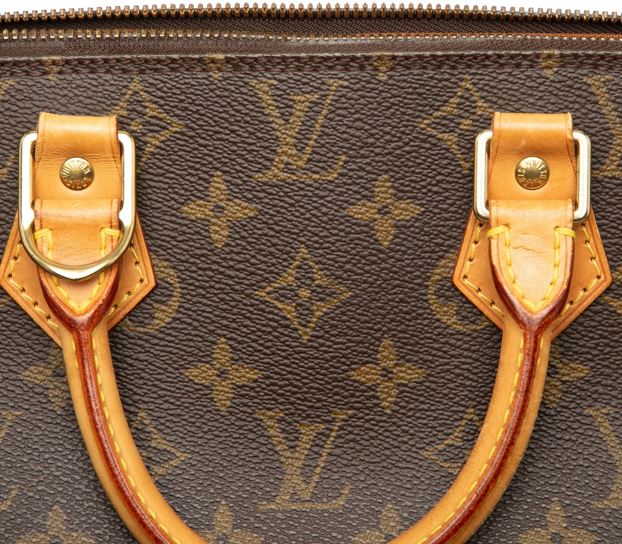 Louis Vuitton Monogram Alma PM Bruin