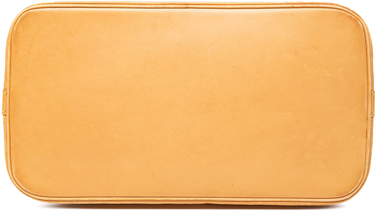 Louis Vuitton Monogram Alma PM Bruin