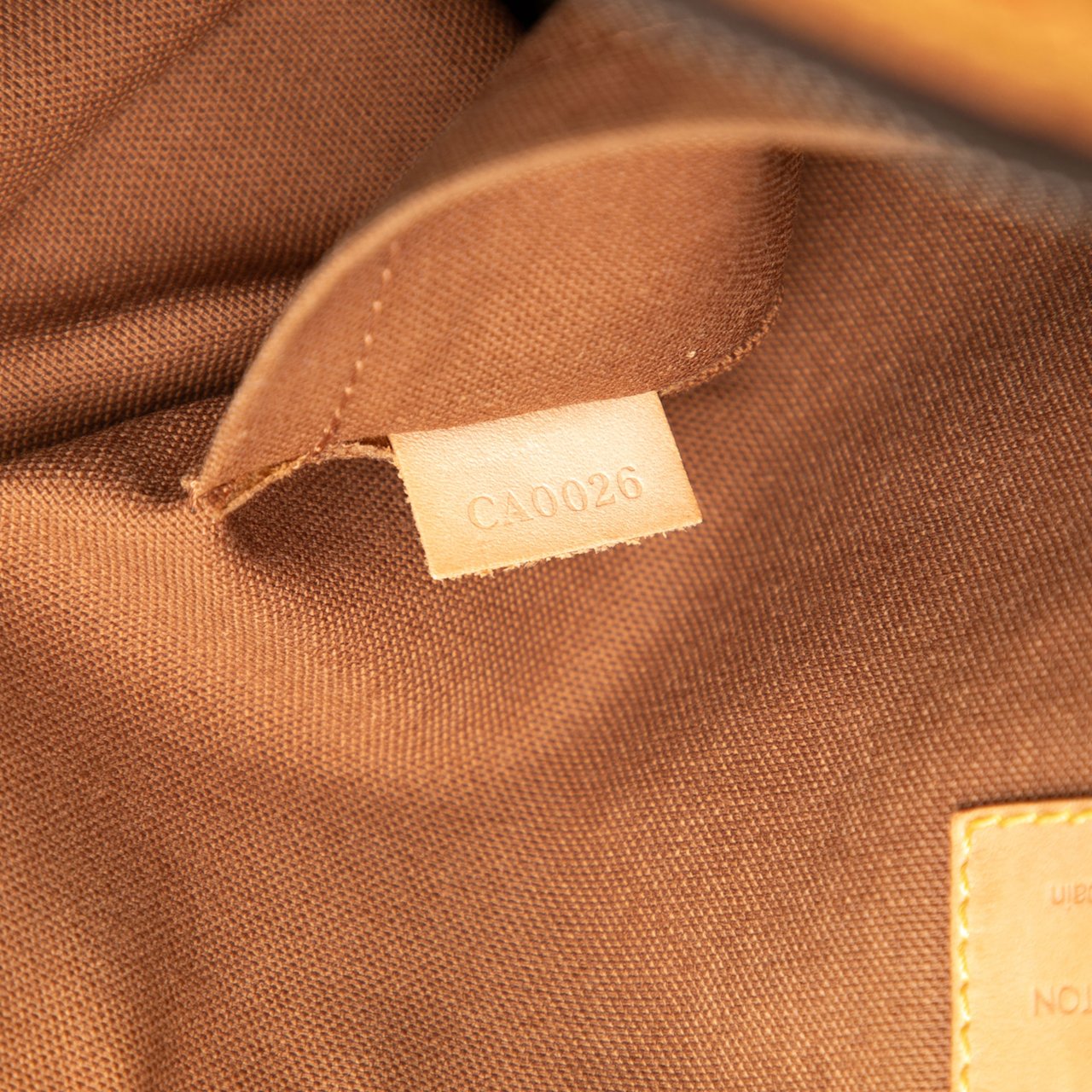 Louis Vuitton Monogram Tulum GM Bruin