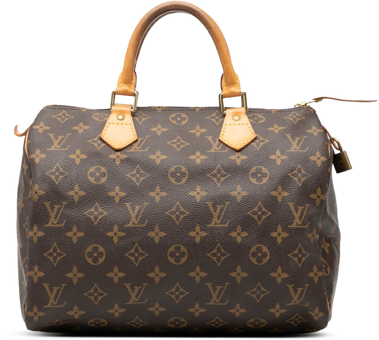 Louis Vuitton Monogram Speedy 30 Bruin