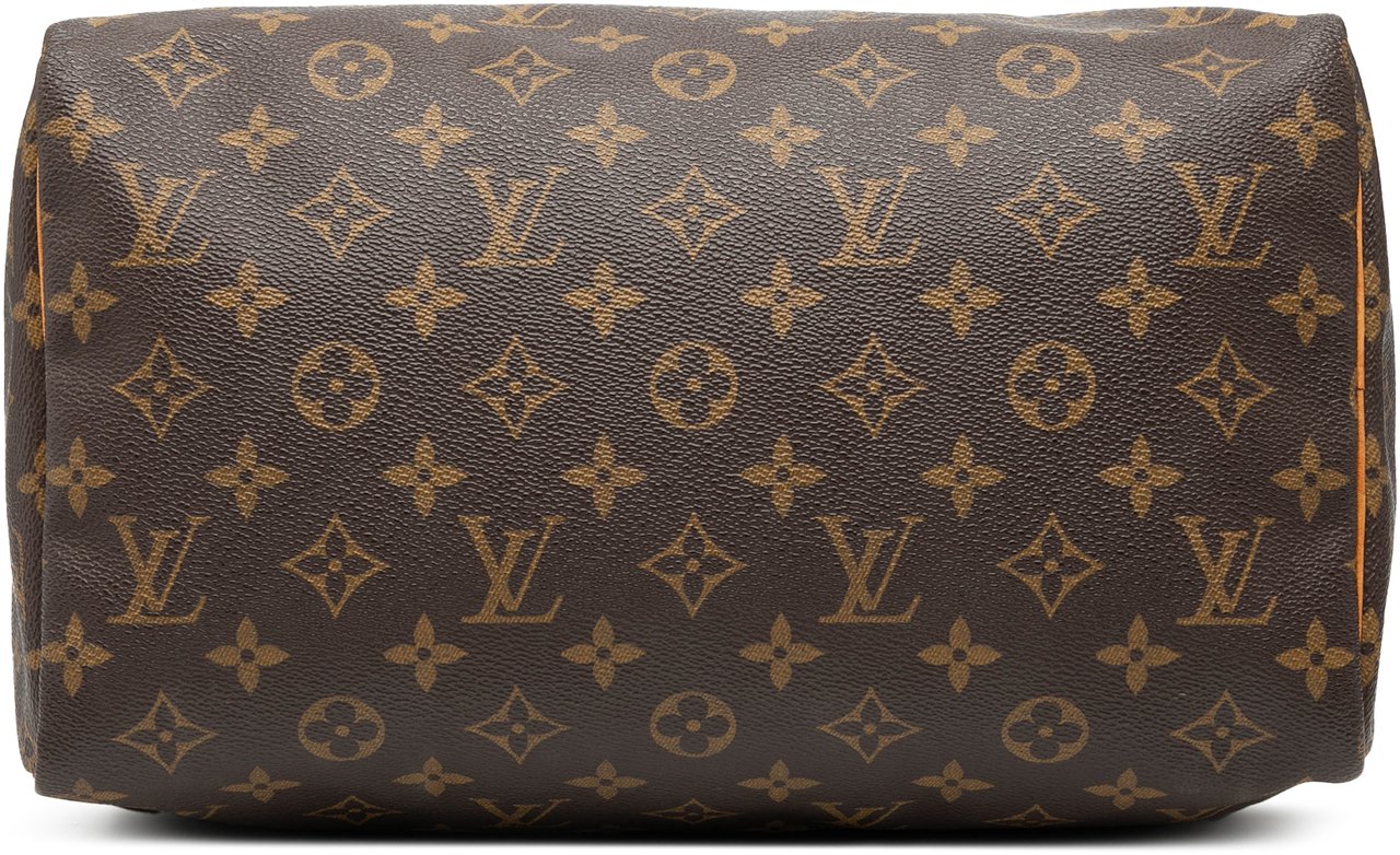 Louis Vuitton Monogram Speedy 30 Bruin