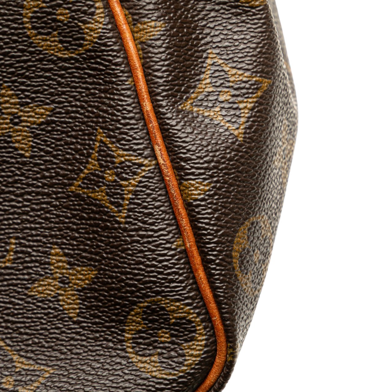 Louis Vuitton Monogram Speedy 35 Bruin