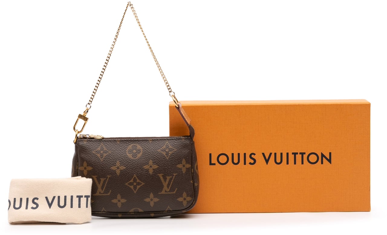 Louis Vuitton Monogram Mini Pochette Accessoires Bruin