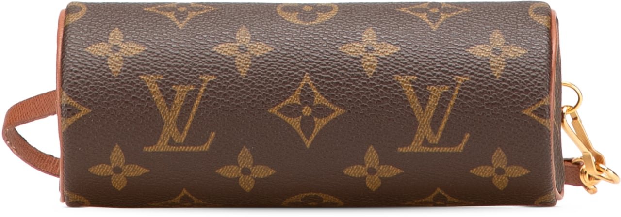 Louis Vuitton Monogram Papillon Pochette Bruin
