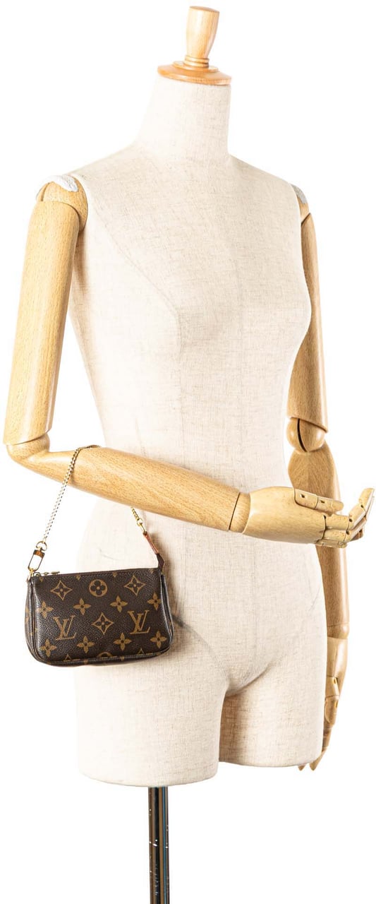 Louis Vuitton Monogram Mini Pochette Accessoires Bruin