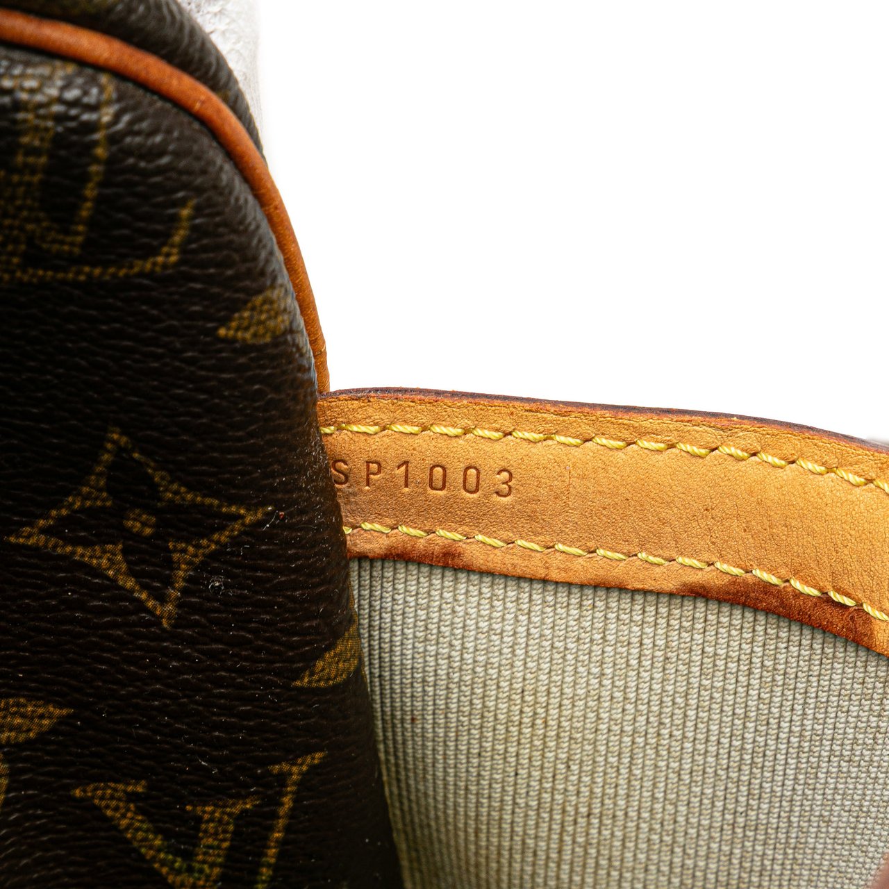 Louis Vuitton Monogram Reporter PM Bruin