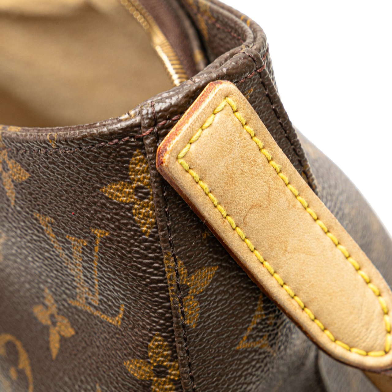 Louis Vuitton Monogram Looping GM Bruin