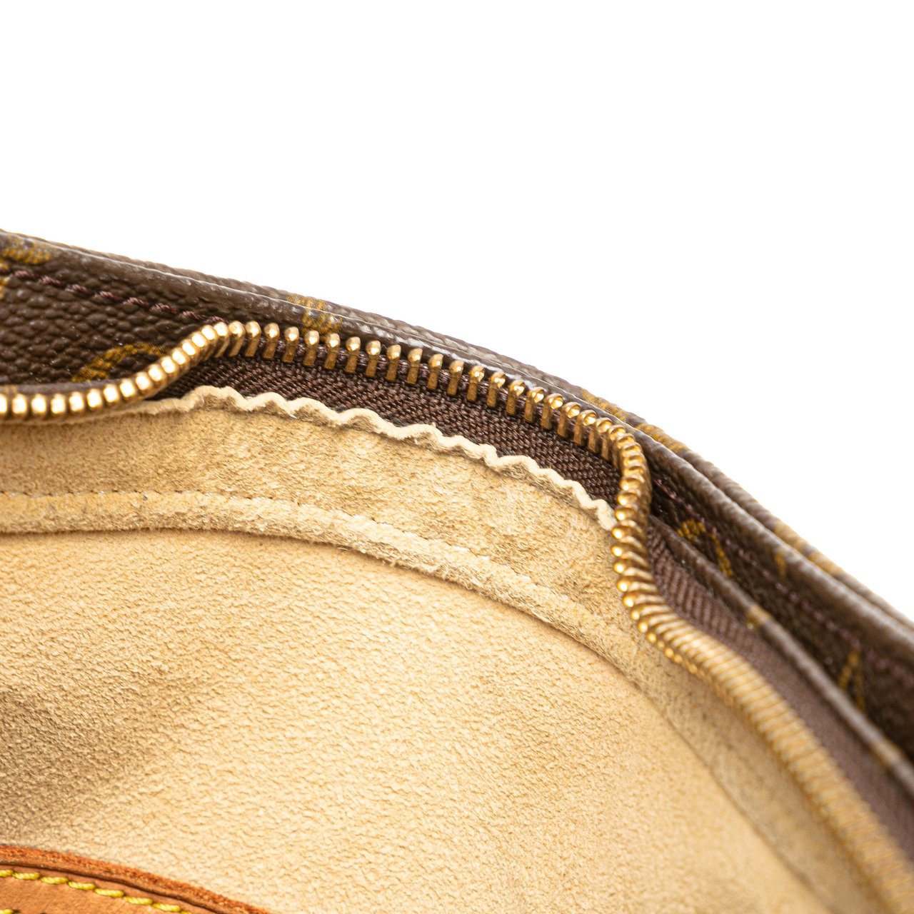 Louis Vuitton Monogram Looping GM Bruin