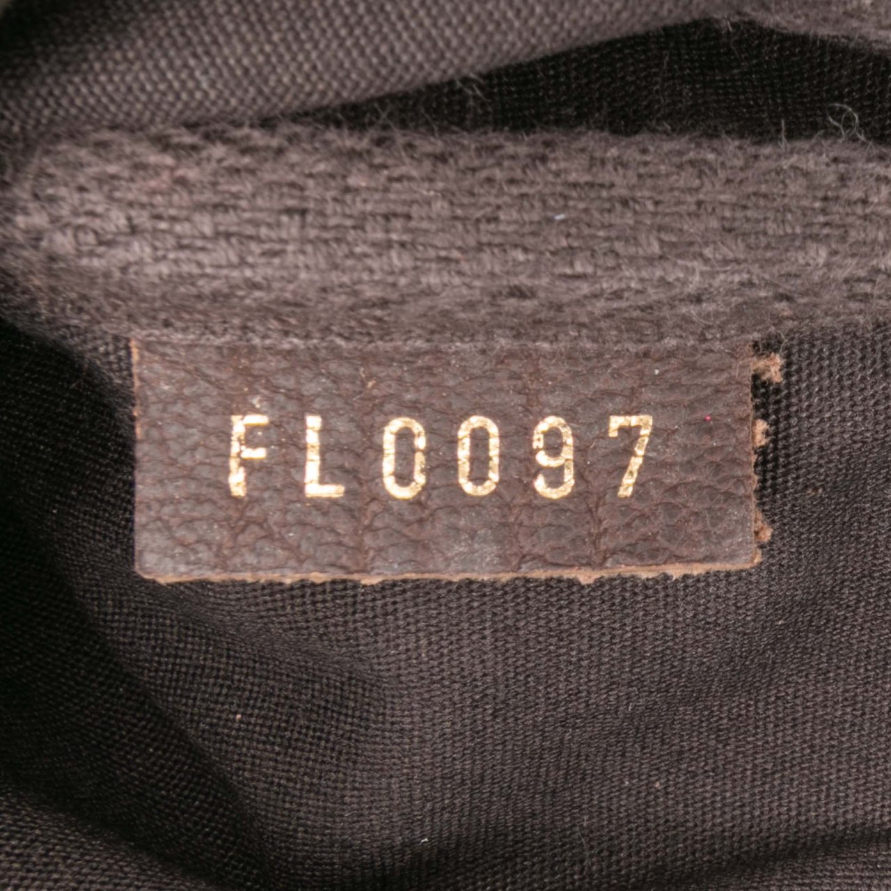 Louis Vuitton Monogram Mini Lin Bucket PM Pouch Bruin