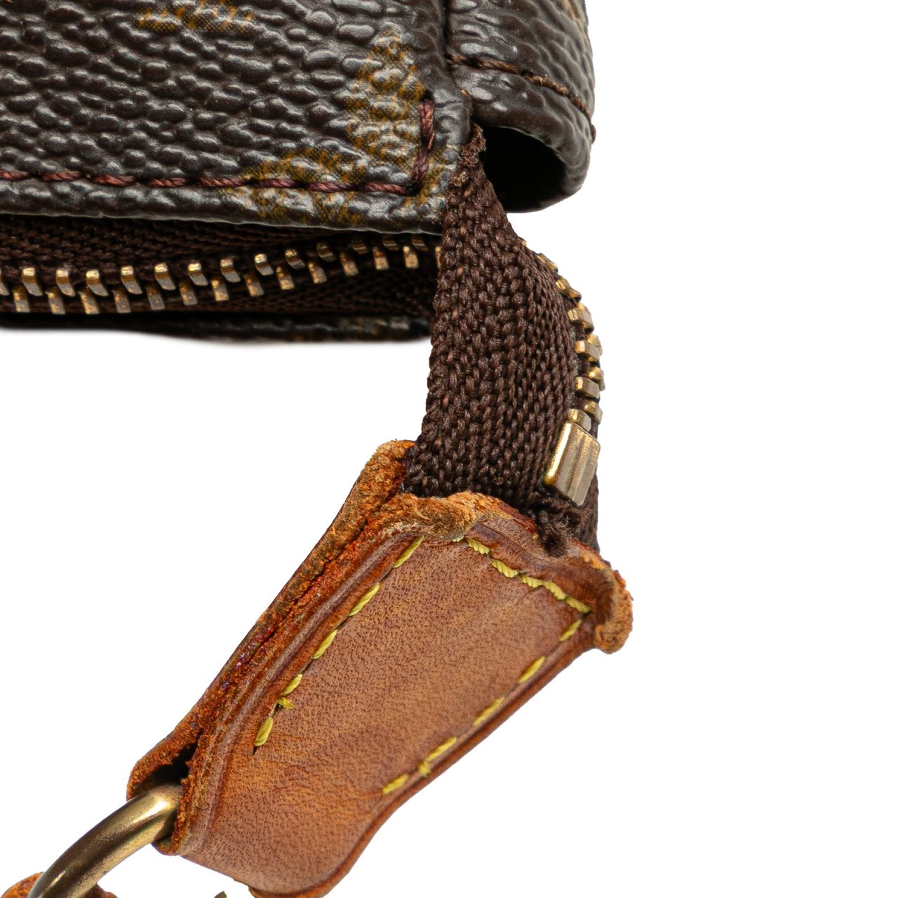 Louis Vuitton Monogram Pochette Accessoires Bruin