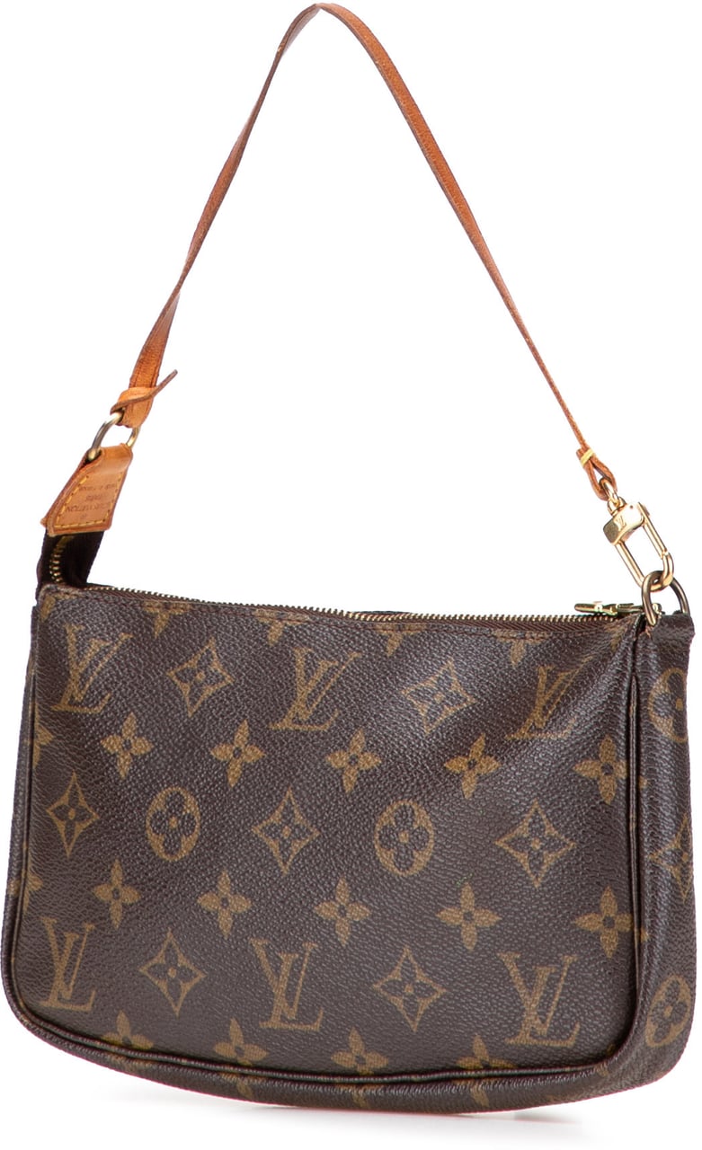 Louis Vuitton Monogram Pochette Accessoires Bruin
