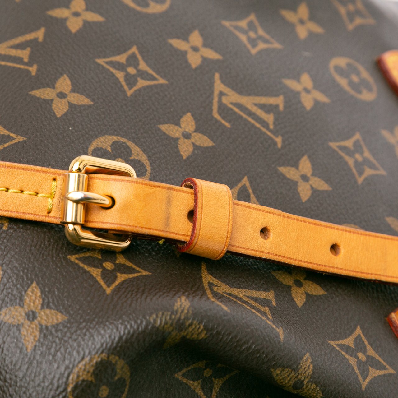 Louis Vuitton Monogram Turenne PM Bruin