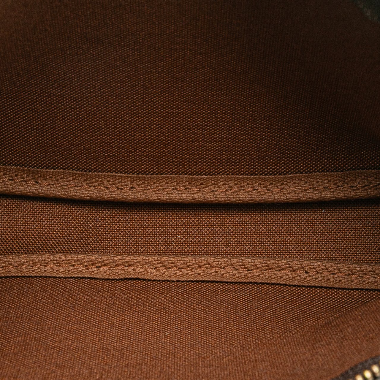 Louis Vuitton Monogram Pochette Accessoires Bruin