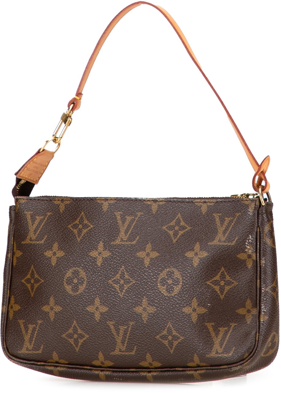 Louis Vuitton Monogram Pochette Accessoires Bruin