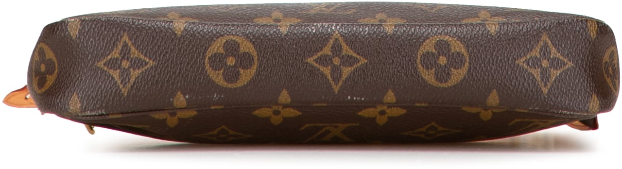Louis Vuitton Monogram Pochette Accessoires Bruin