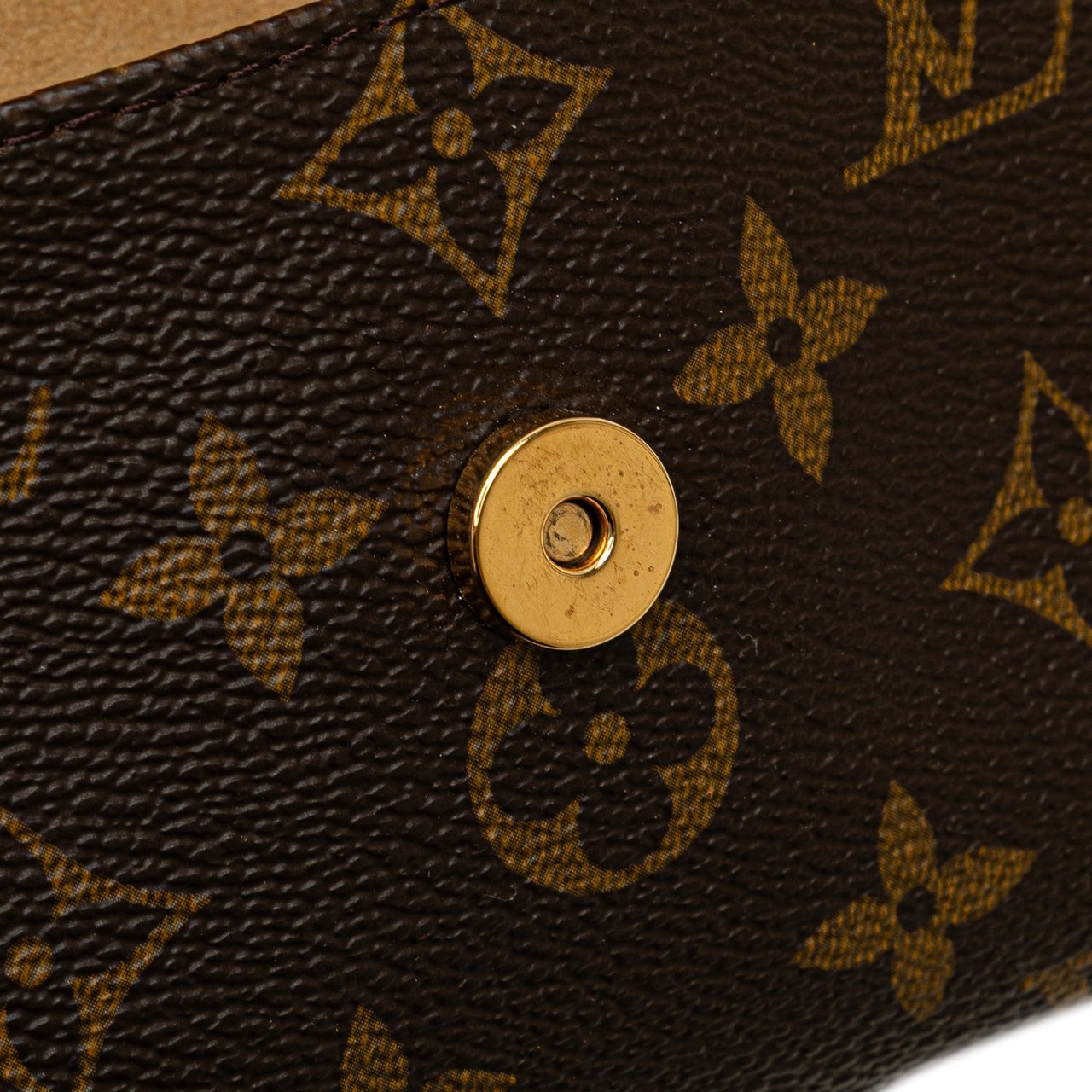 Louis Vuitton Monogram Pochette Twin PM Bruin