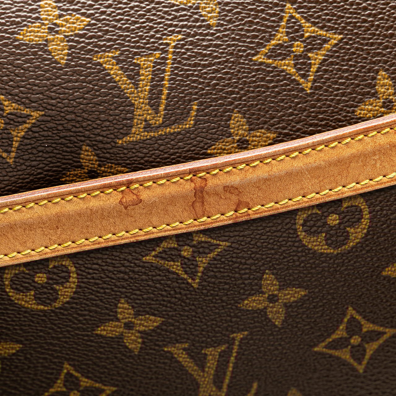 Louis Vuitton Monogram Reporter GM Bruin