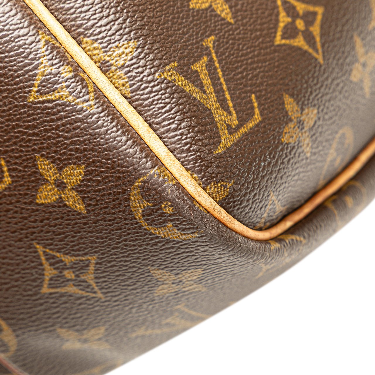 Louis Vuitton Monogram Reporter GM Bruin
