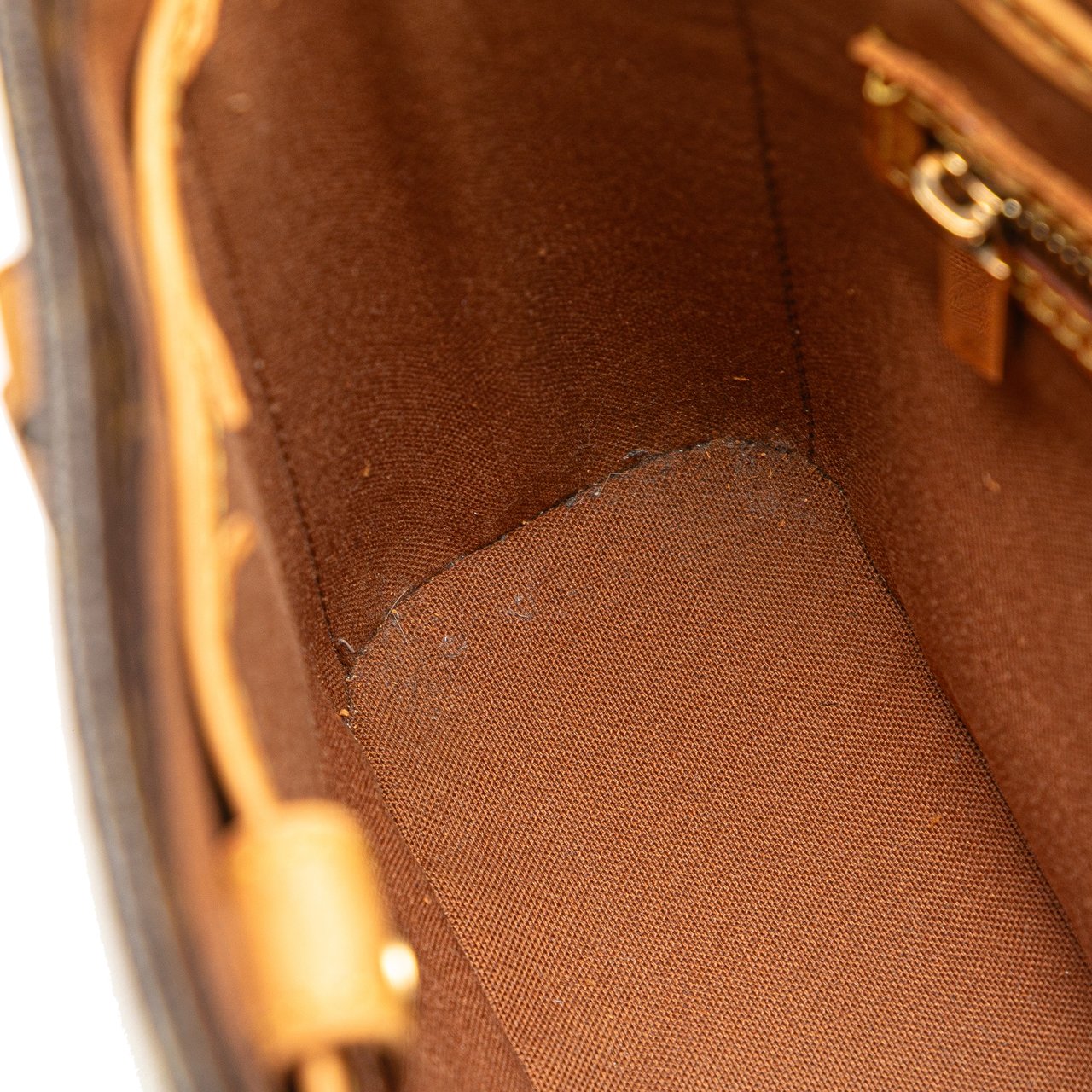 Louis Vuitton Monogram Vavin PM Bruin