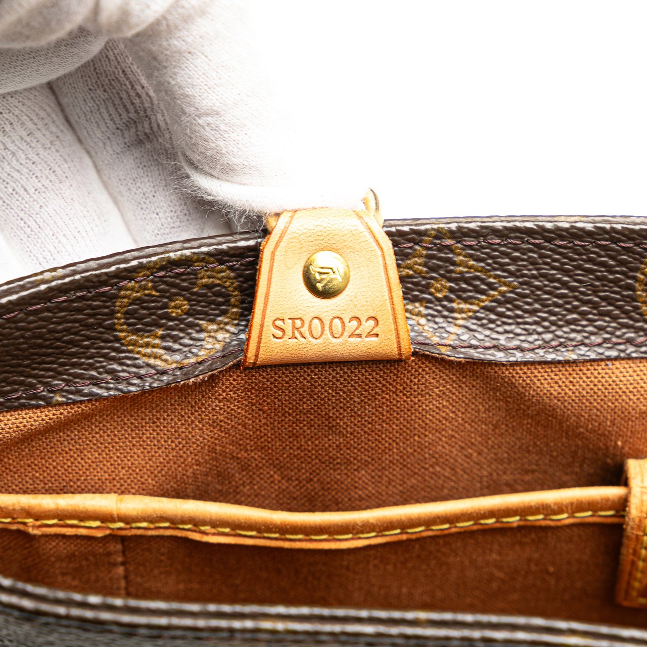 Louis Vuitton Monogram Vavin PM Bruin