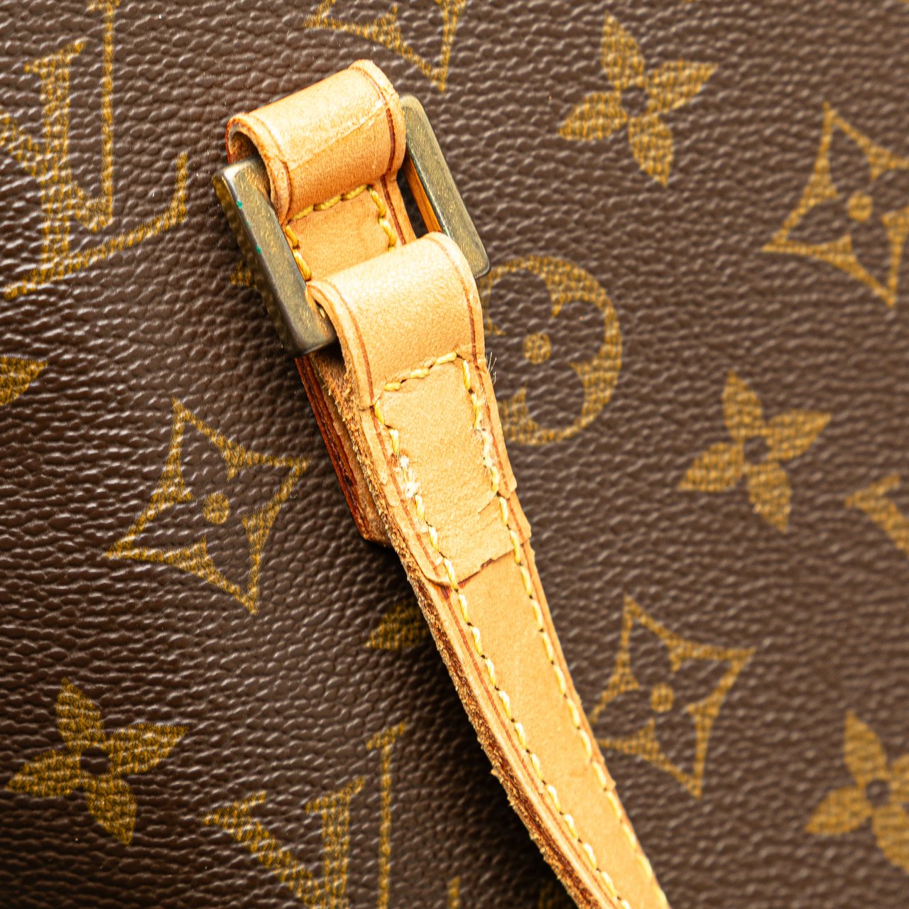 Louis Vuitton Monogram Vavin PM Bruin