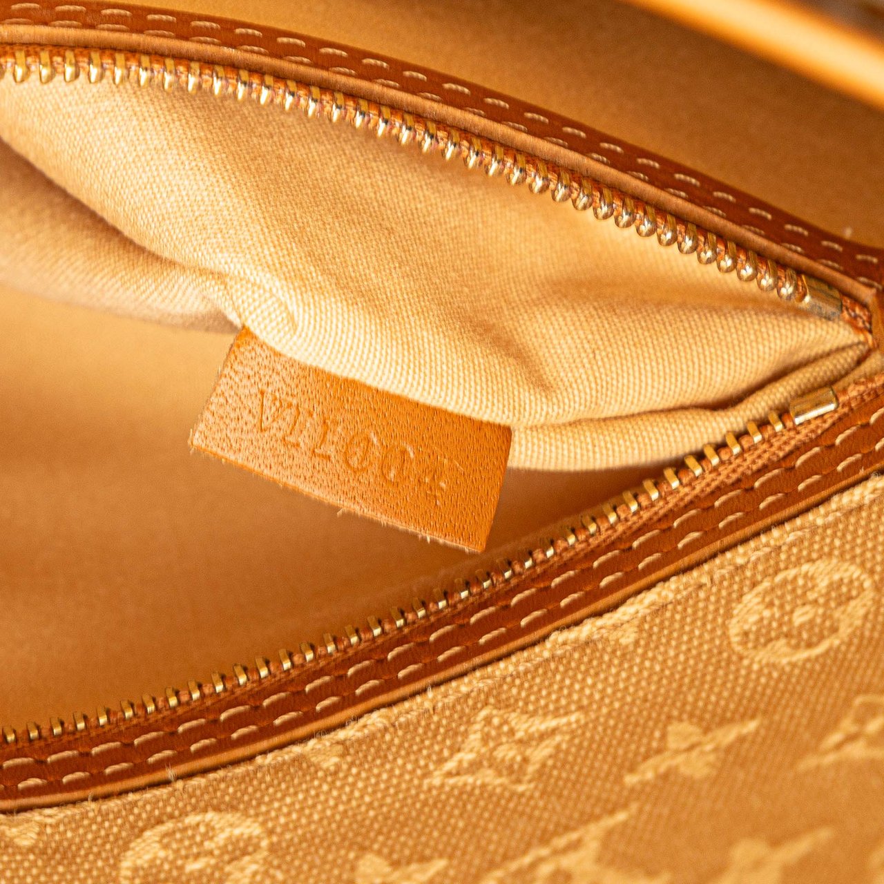 Louis Vuitton Monogram Mini Lin Besace Mary Kate Bruin