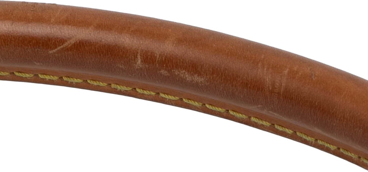 Louis Vuitton Monogram Looping GM Bruin