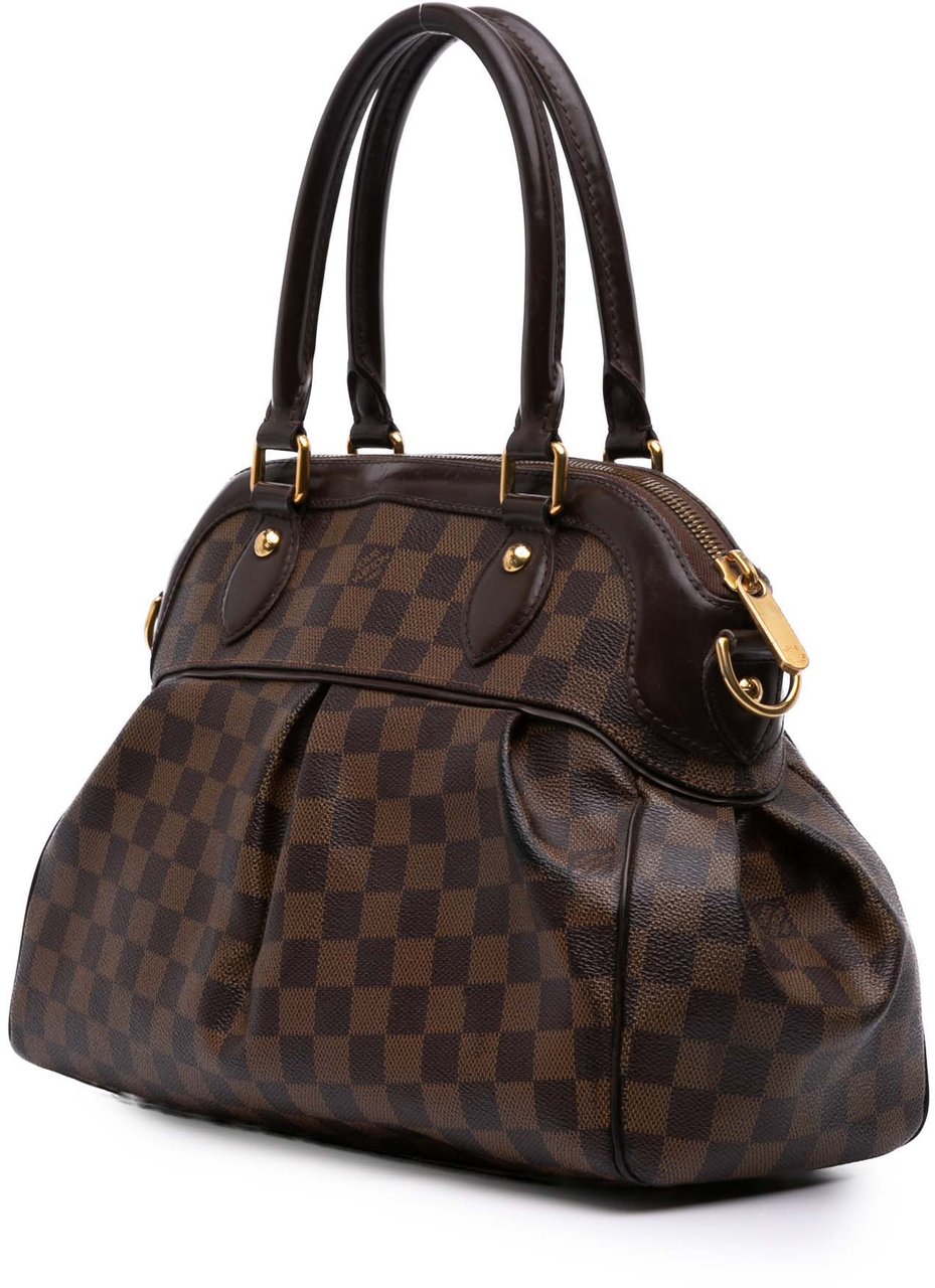 Louis Vuitton Damier Ebene Trevi PM Bruin