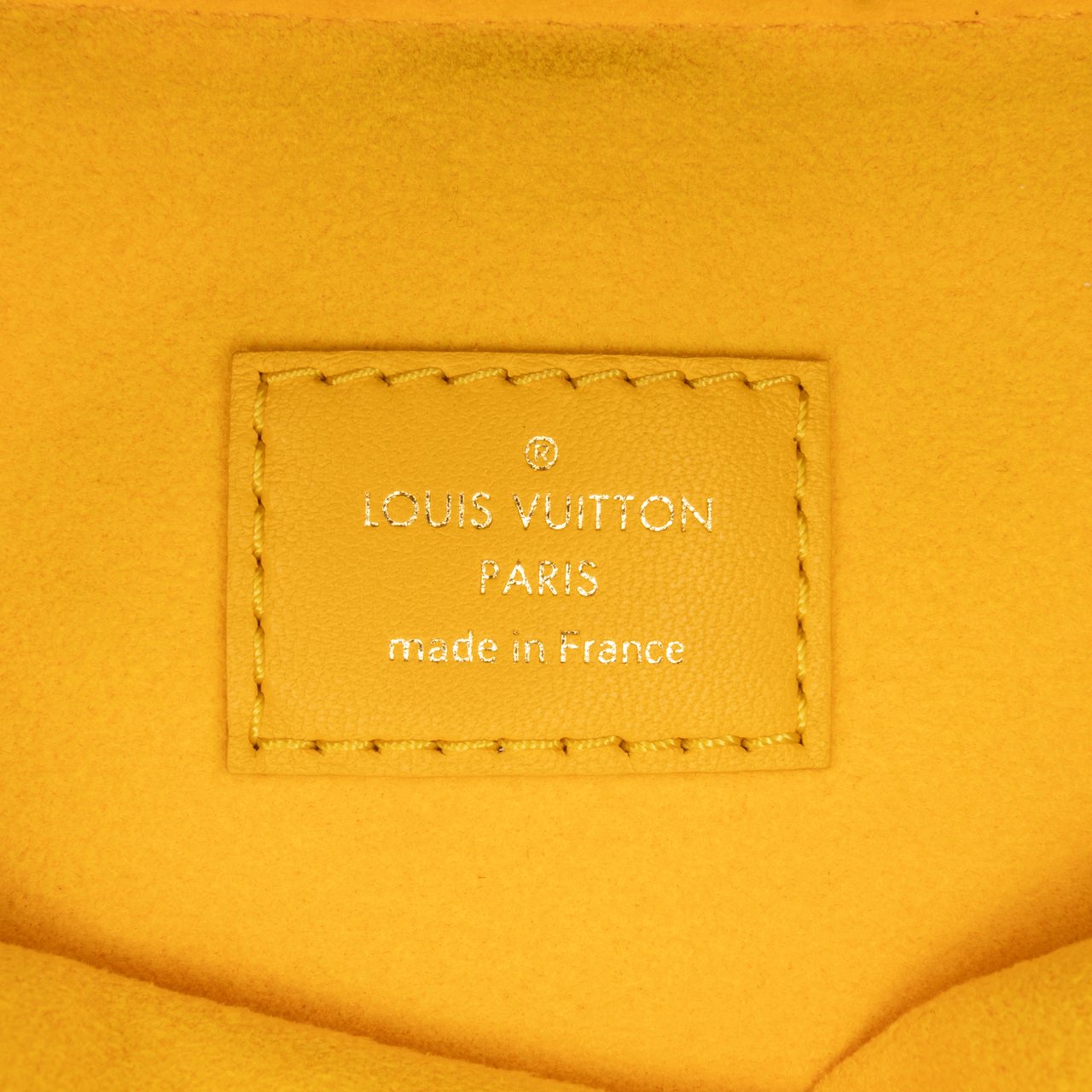 Louis Vuitton Monogram Coussin PM Geel