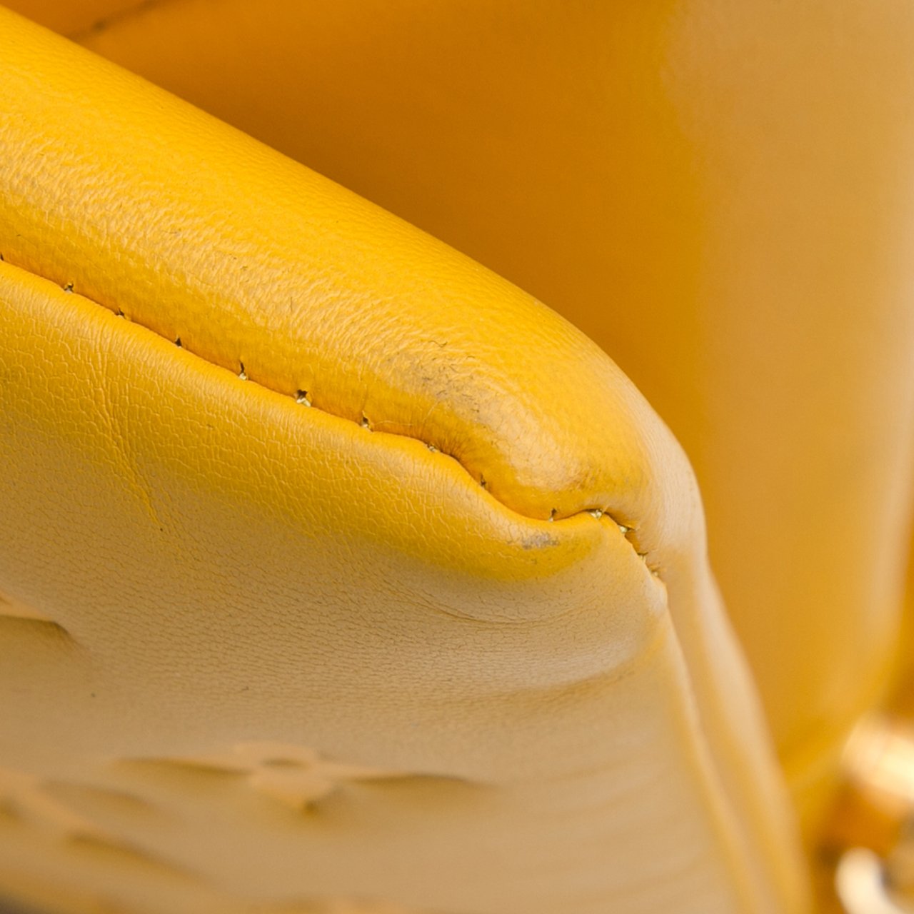 Louis Vuitton Monogram Coussin PM Geel