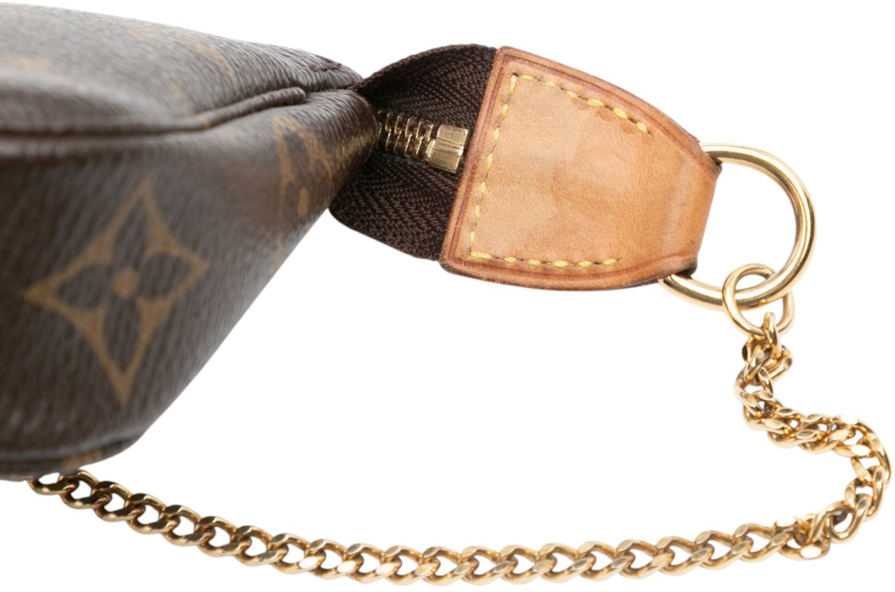 Louis Vuitton Monogram Mini Pochette Accessoires Bruin